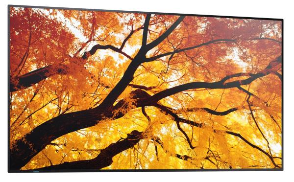 50" LED SHARP M502, 3840x2160, 24/ 7 