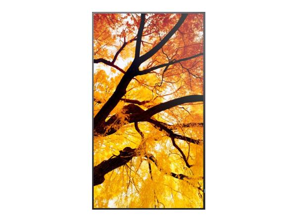 32" LED NEC M322, 1920x1080, IPS, 24/ 7, 450cd 