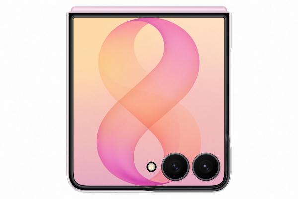 Samsung Priehľadný zadný kryt pre Galaxy Z Flip8, Transparent 