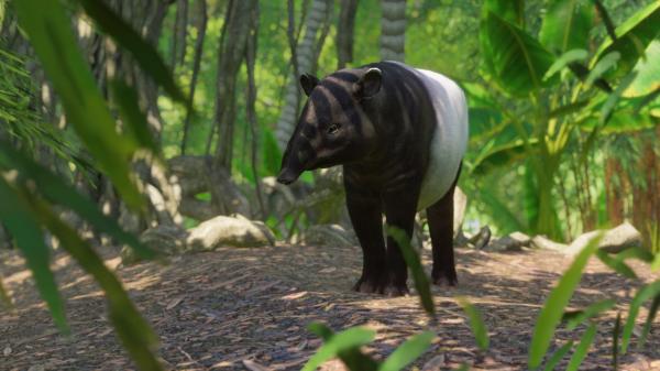 ESD Planet Zoo Southeast Asia Animal Pack 