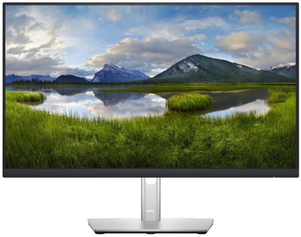 Dell/ P2422H/ 23, 8"/ IPS/ FHD/ 60Hz/ 5ms/ Silver/ 3RNBD