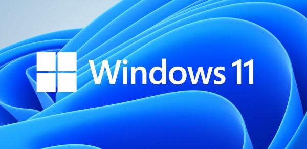 MS Windows 11 Home 64-Bit Eng 1pk OEM DVD 