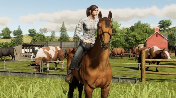 ESD Farming Simulator 19 Platinum Edition 