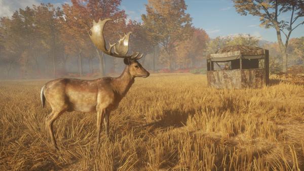 ESD theHunter Call of the Wild Tents & Ground Blin 