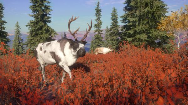 ESD theHunter Call of the Wild Yukon Valley 