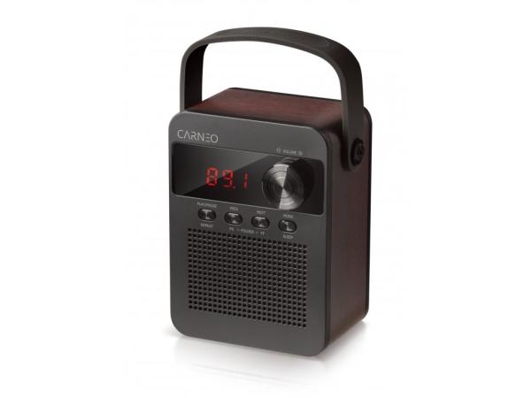 CARNEO F90 FM rádio, BT reproduktor, black/ wood
