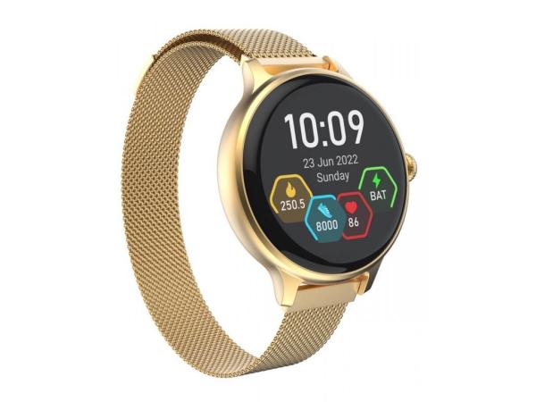 CARNEO Hero mini HR+/ Gold/ Elegant Band/ Gold 