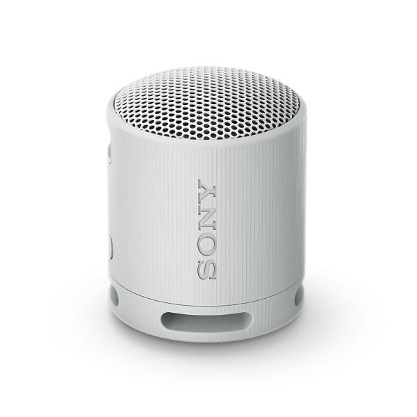 Sony SRS-XB100/ Mono/ Sivá