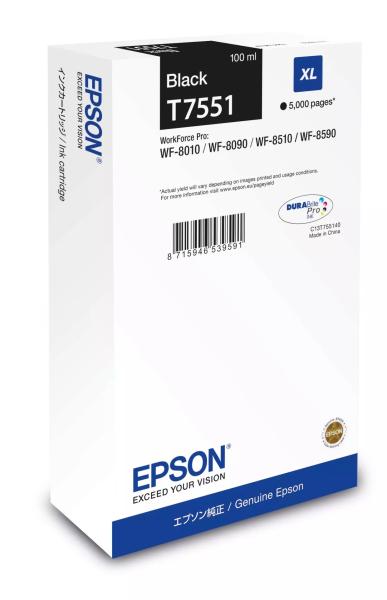 Epson atrament WF8000 series black XL - 100ml
