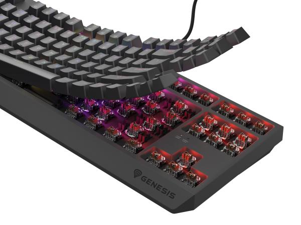 Genesis herní klávesnice THOR 230/ TKL/ RGB/ Outemu Brown/ Drátová USB/ US layout/ Černá 
