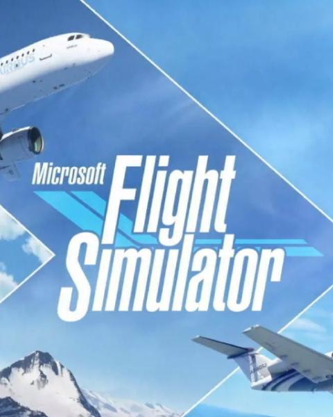 ESD Microsoft Flight Simulator