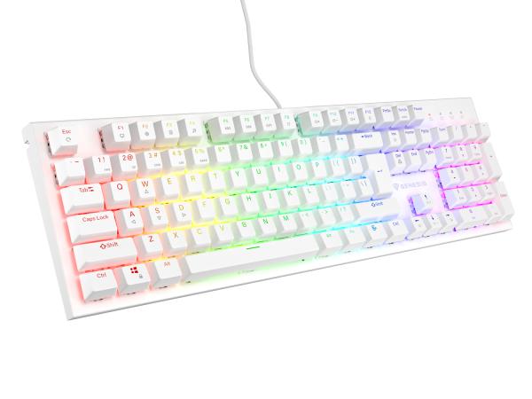 Genesis herná mechanická klávesnica THOR 303/ RGB/ Outemu Brown/ Drôtová USB/ US layout/ Biela 