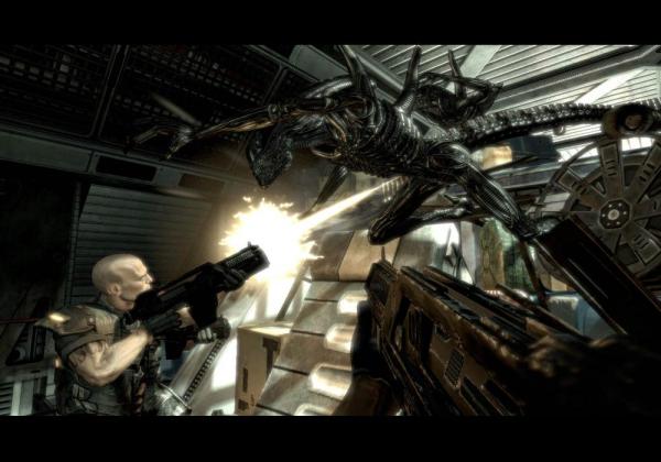 ESD Aliens Vs Predator Collection 