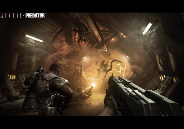 ESD Aliens Vs Predator Collection 