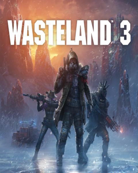 ESD Wasteland 3