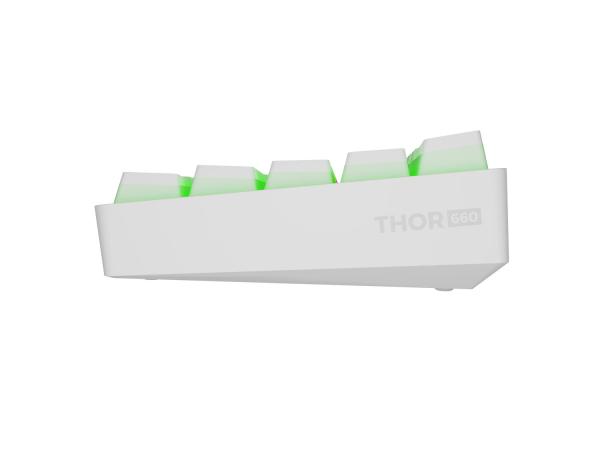 Genesis herná klávesnica THOR 660 G2/ Bezdrôtová USB + Bluetooth/ US layout/ Biela 