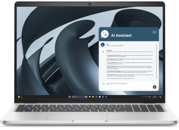 Dell Pro 16 Plus/ PB16255/ R5PRO-230/ 16"/ WUXGA/ 32GB/ 1TB/ AMD int/ W11P/ Silver/ 3R NBD 