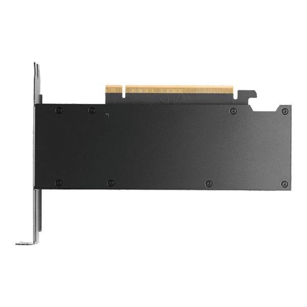 PNY NVIDIA RTX PRO 2000 Blackwell 16GB GDDR7 
