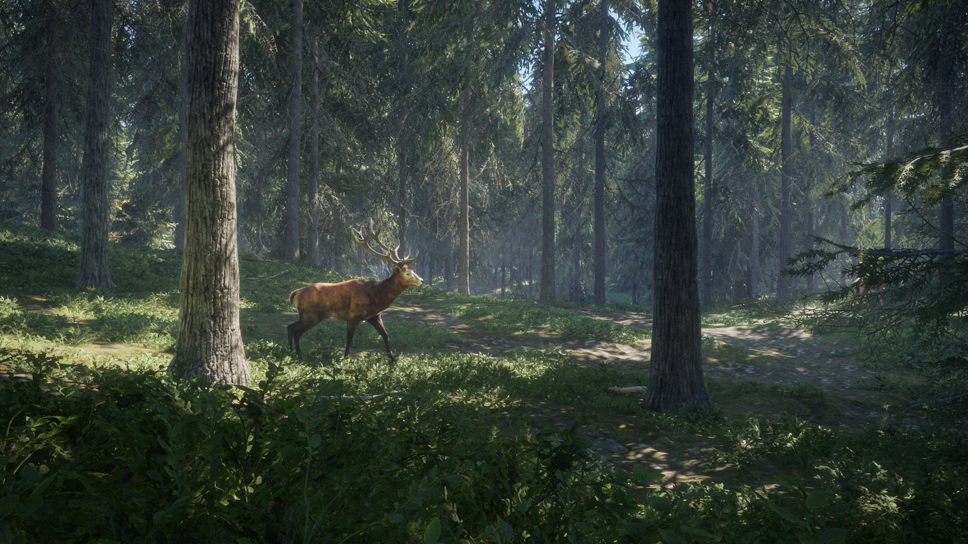 ESD theHunter Call of the Wild 