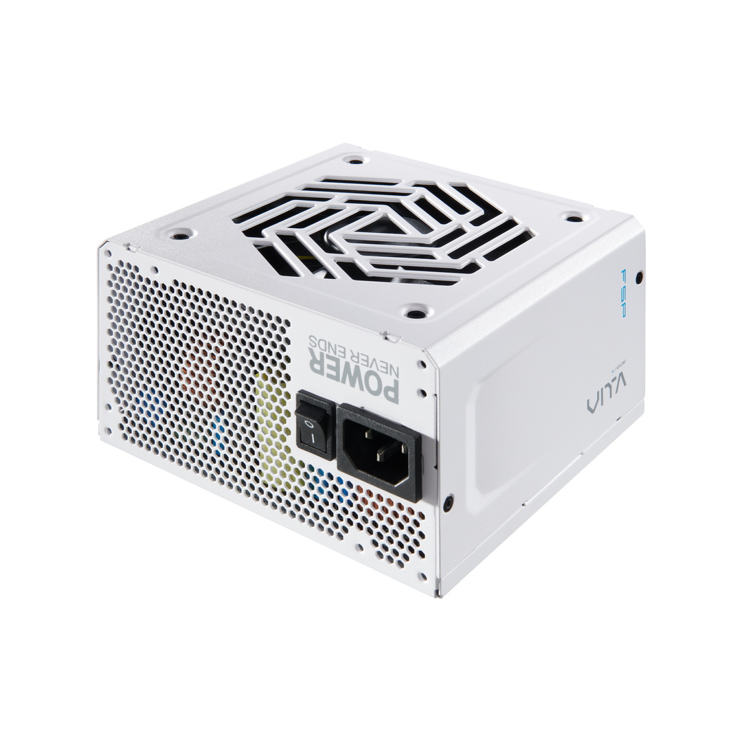 FSP VITA PM/ 1000W/ ATX 3.1/ 80PLUS Platinum/ Modular/ Retail 