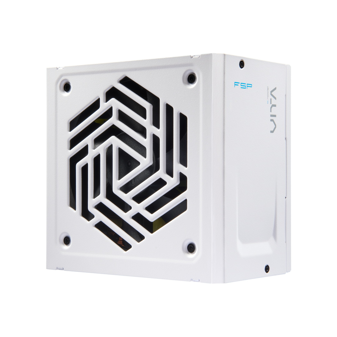 FSP VITA PM/ 1000W/ ATX 3.1/ 80PLUS Platinum/ Modular/ Retail 