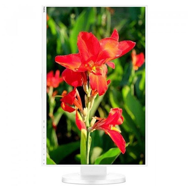 NEC MT 24" LCD MuSy EA241WU White LED IPS TFT, 1920x1200/ 60Hz,  5ms, 1000:1, 300cd, D-sub,  DVI,  DP,  HDMI,  audio,  USB3 (1+3) 