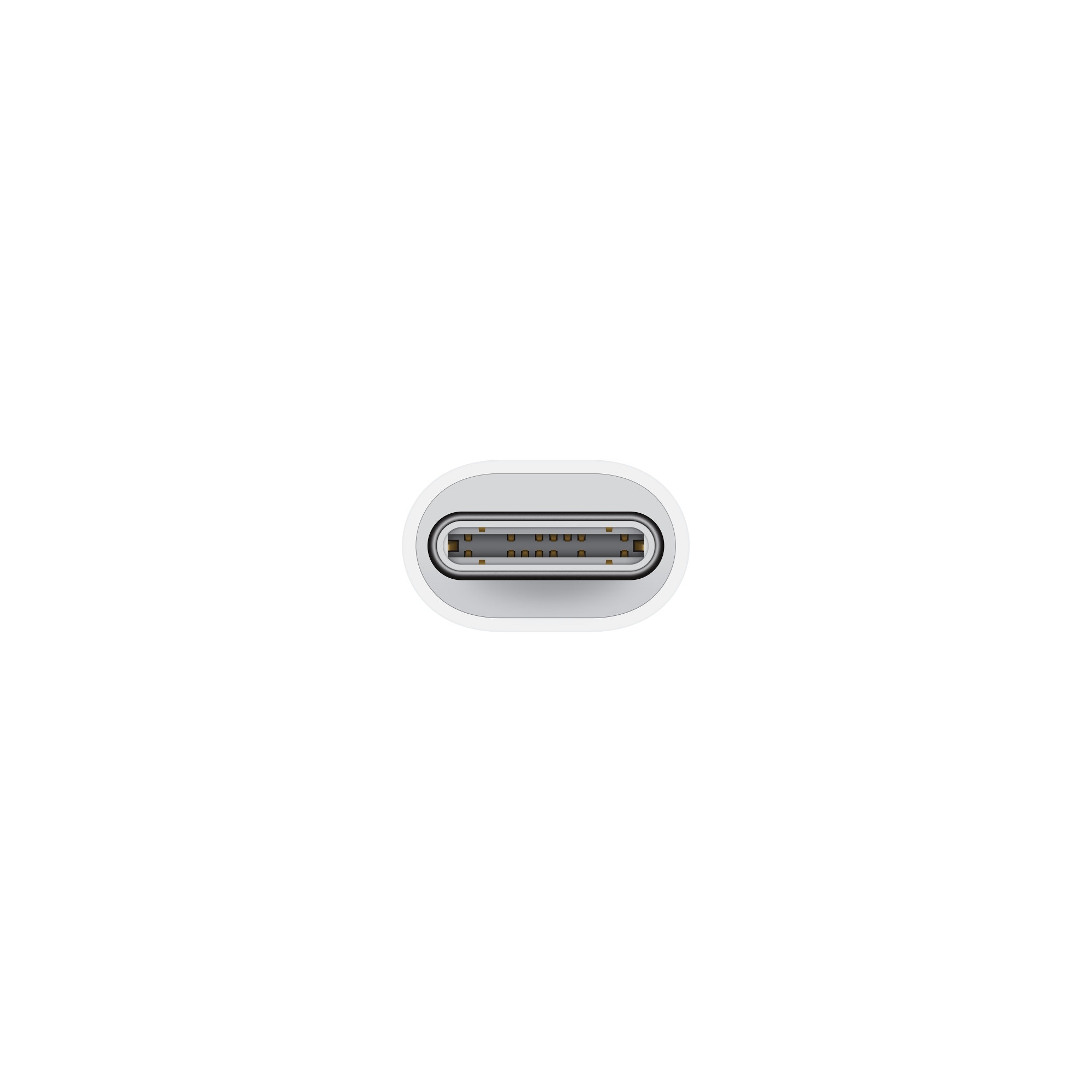 USB-C to Lightning Adapter 