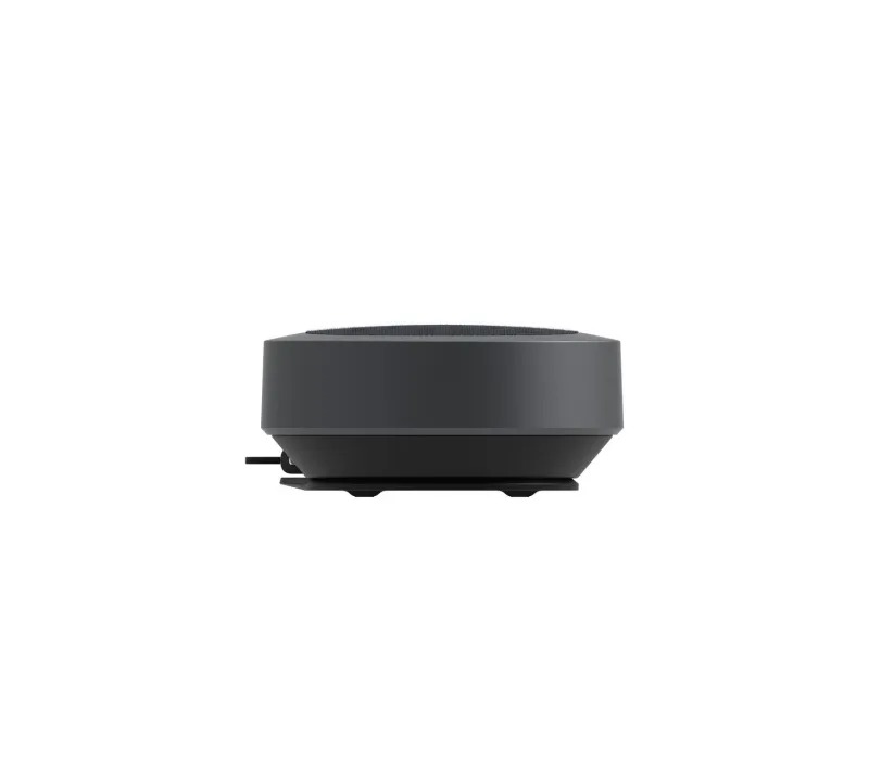 iiyama - mic and speaker 