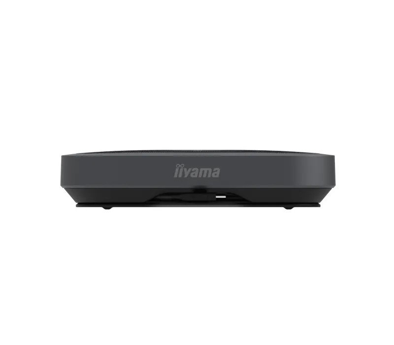 iiyama - mic and speaker 