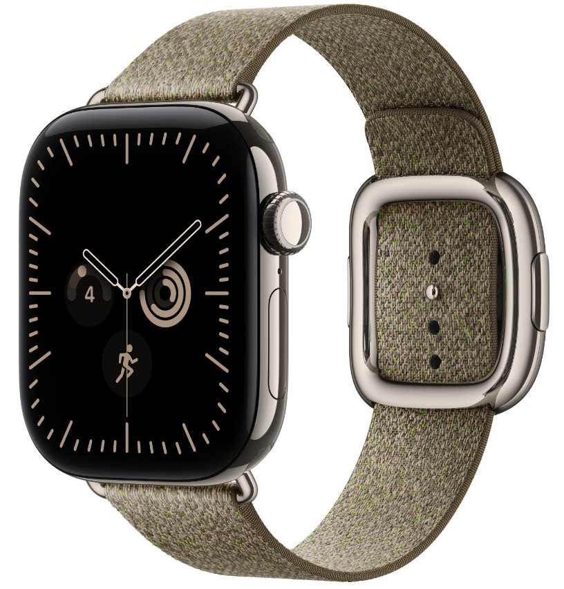 Watch Acc/ 42/ Sage Modern Buckle- S 
