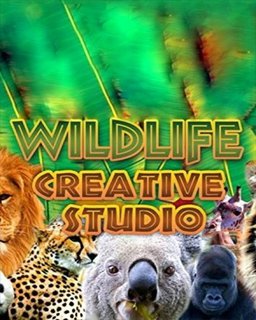 ESD Wildlife Creative Studio