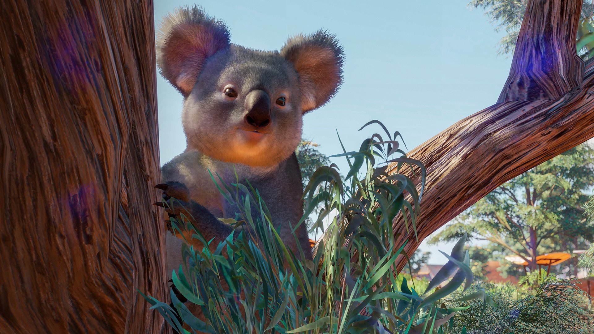 ESD Planet Zoo Australia Pack 