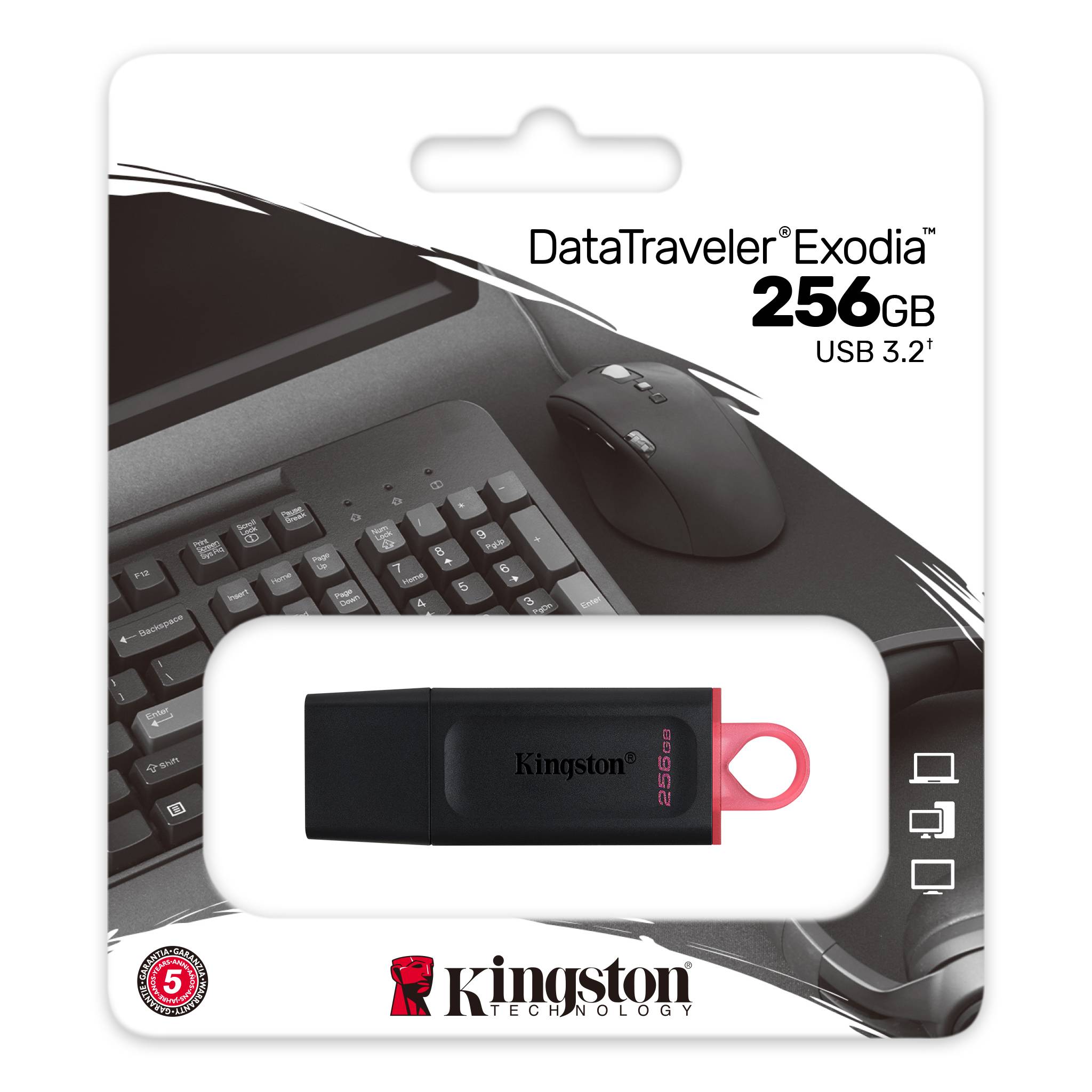 Kingston DataTraveler Exodia/ 256GB/ USB 3.2/ USB-A/ Růžová 