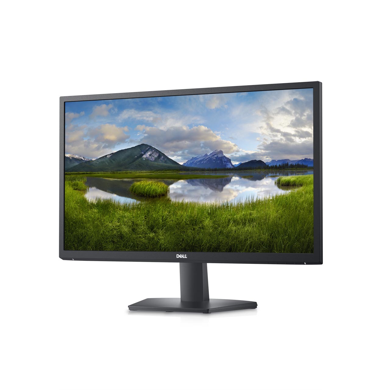 Dell/ SE2422H/ 23, 8