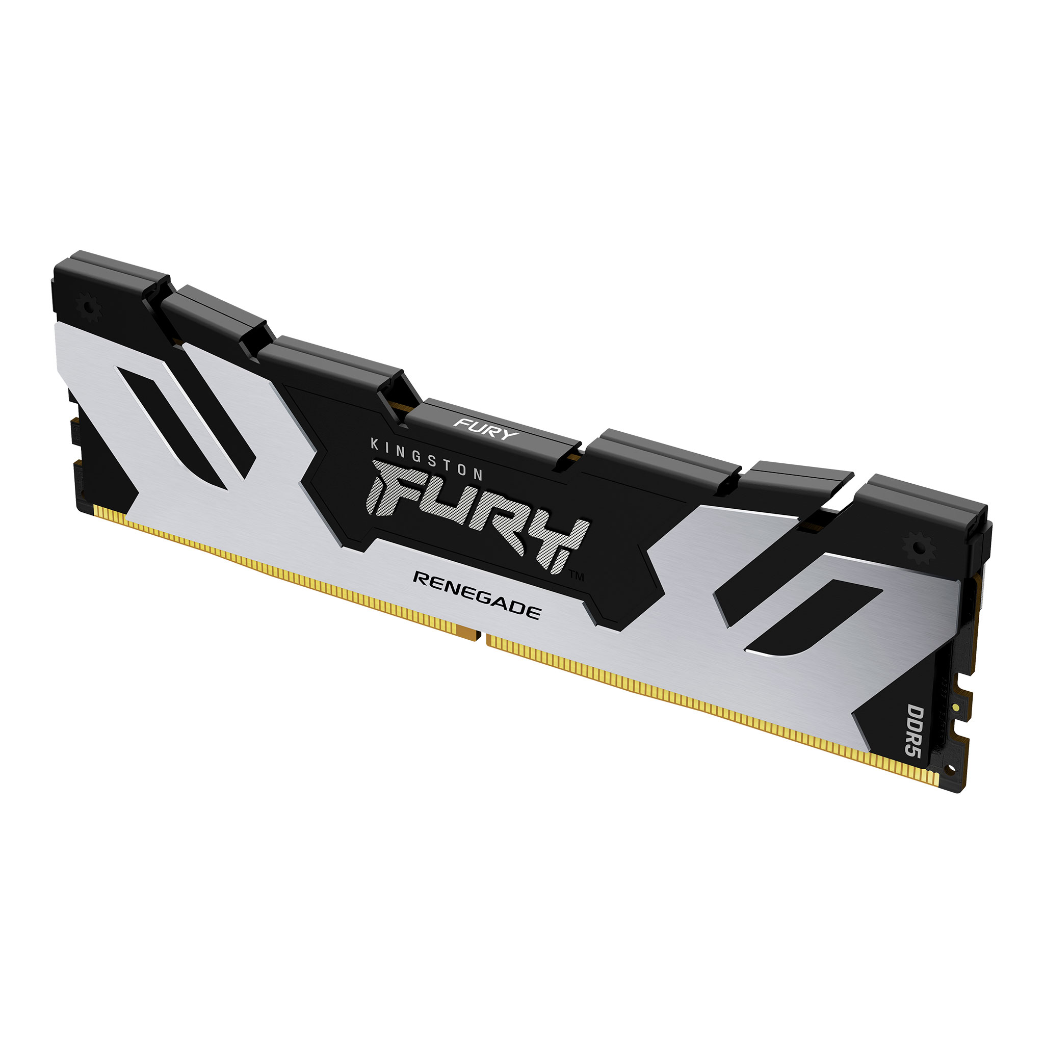 Kingston FURY Renegade/ DDR5/ 16GB/ 6400MHz/ CL32/ 1x16GB/ Black/ Silv