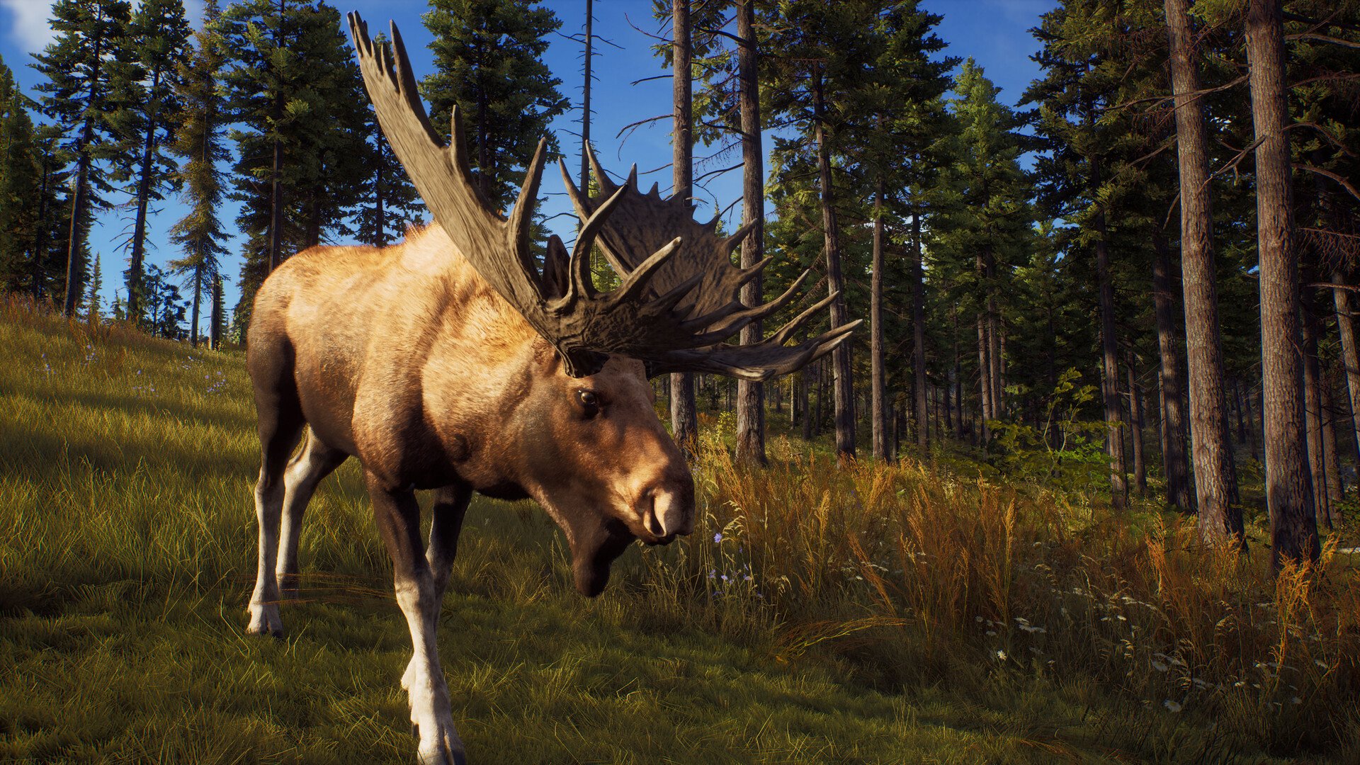 ESD Way of the Hunter 