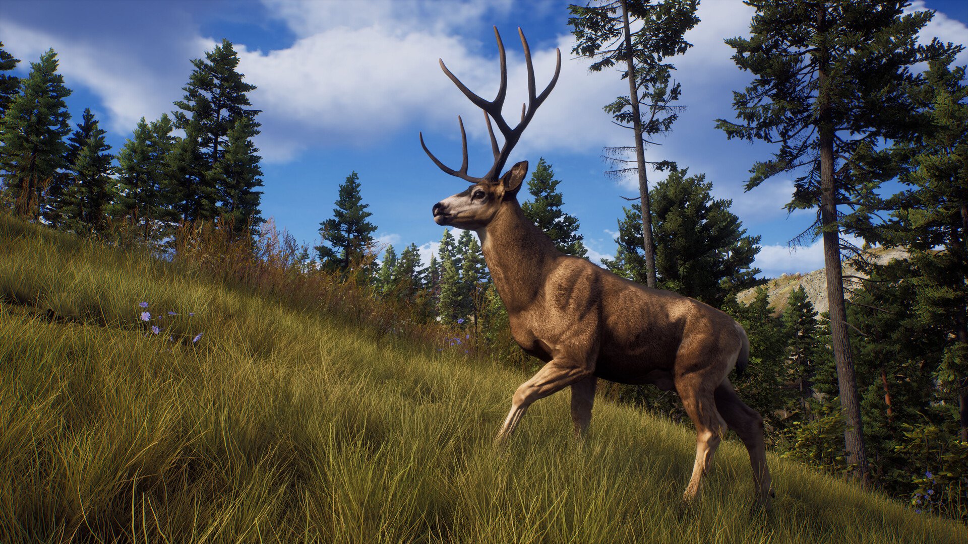 ESD Way of the Hunter 