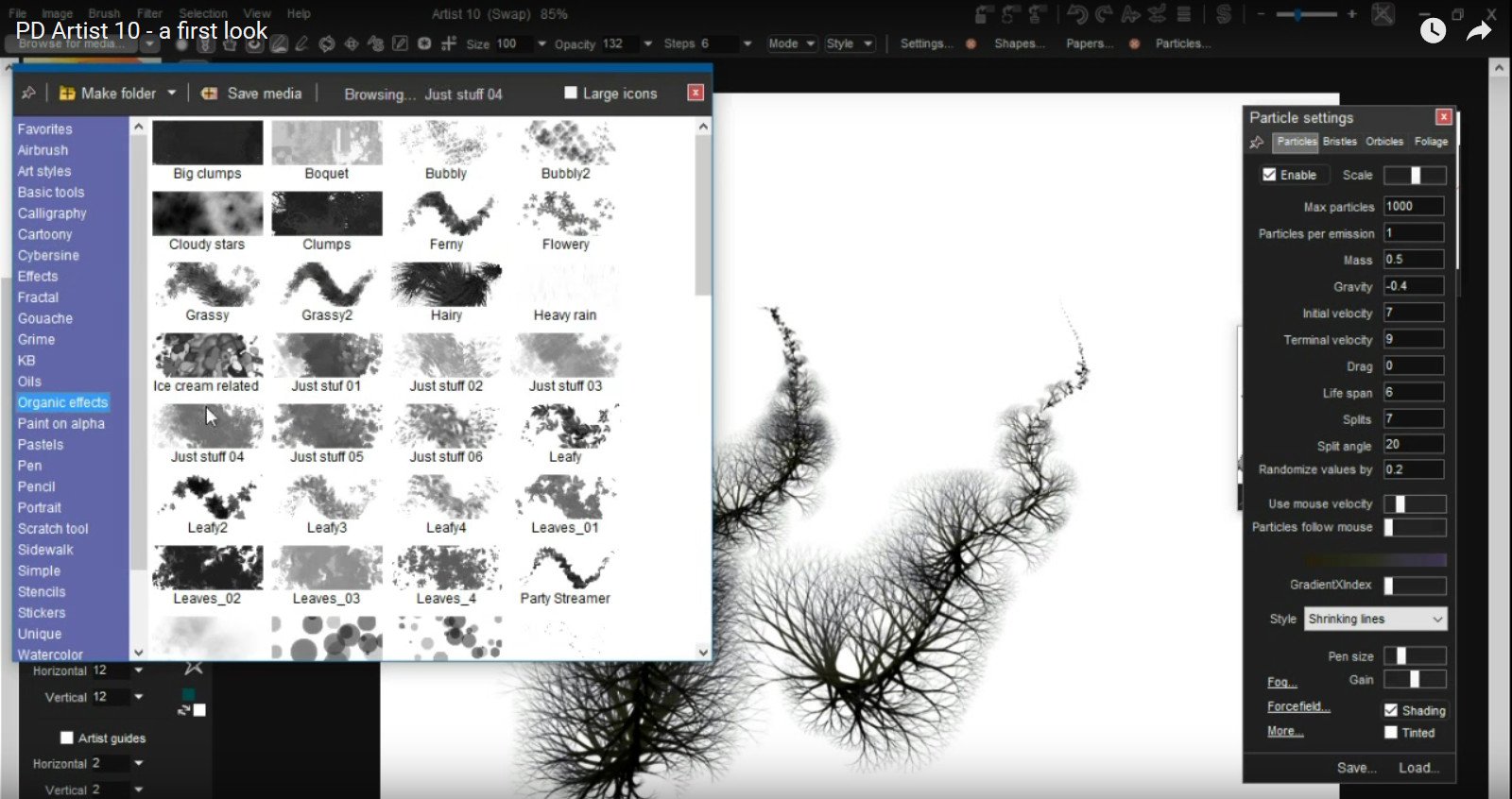 ESD PD Artist 10 