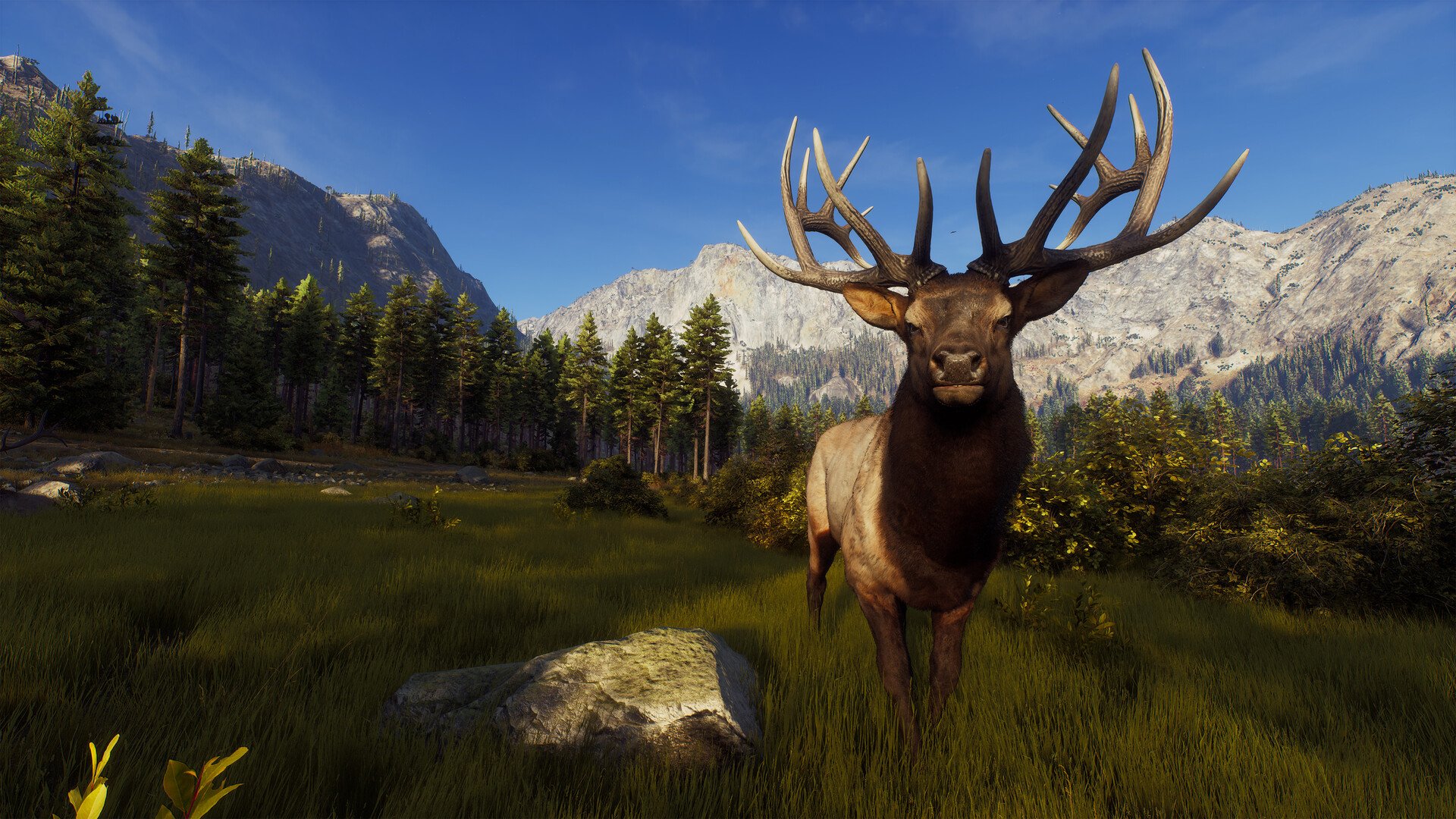 ESD Way of the Hunter Elite Edition 