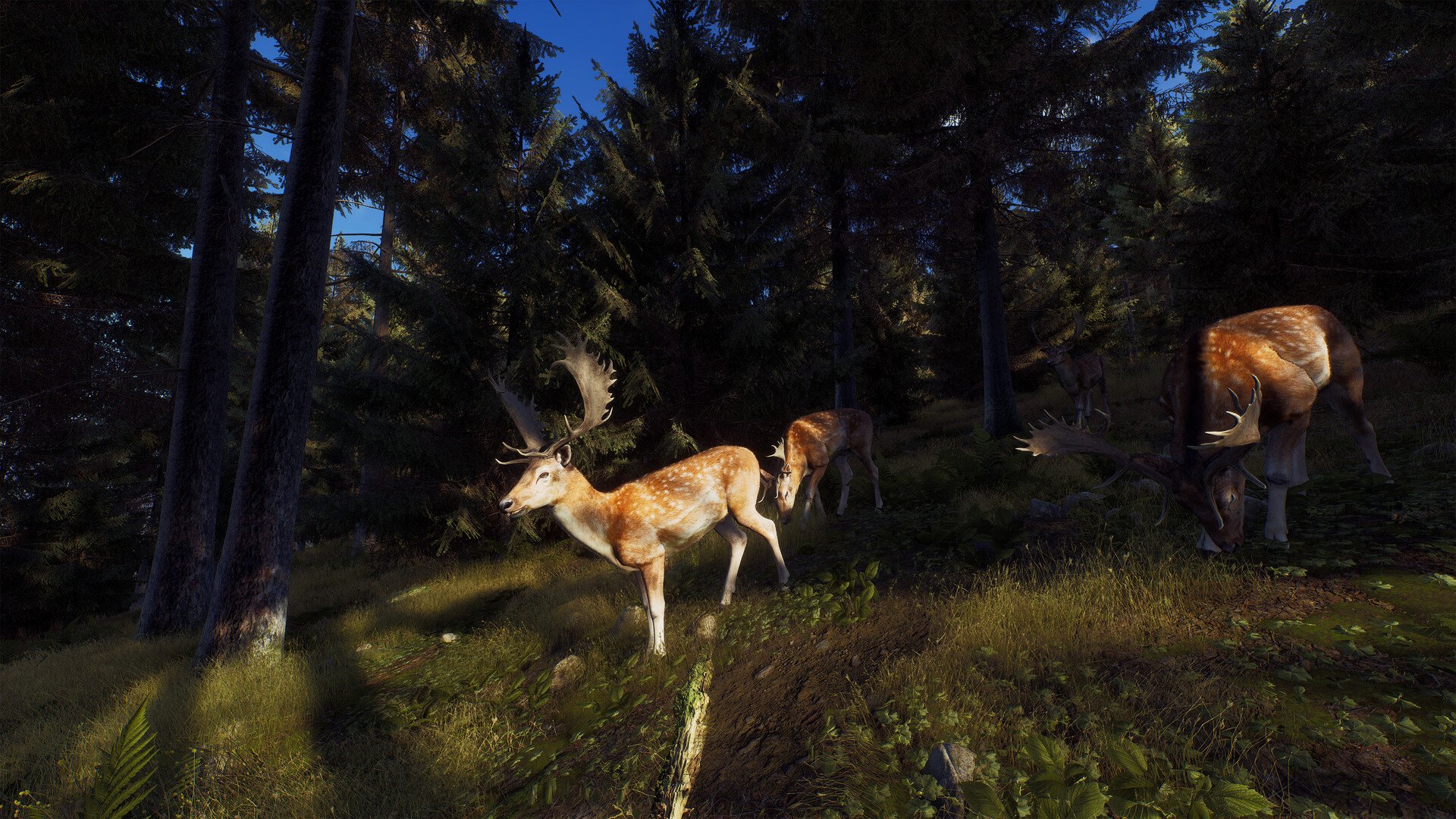 ESD Way of the Hunter Elite Edition 