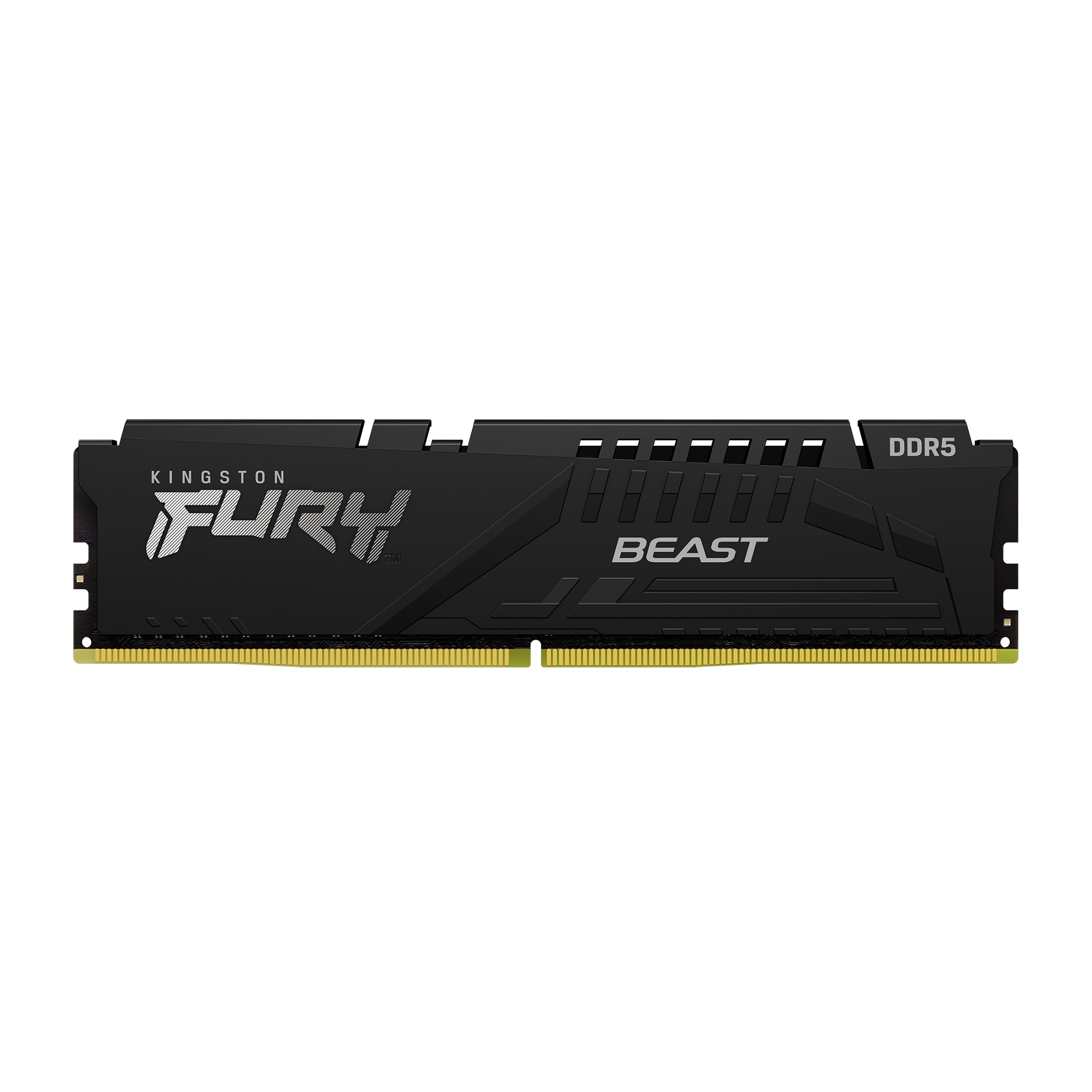 Kingston FURY Beast EXPO/ DDR5/ 8GB/ 5600MHz/ CL36/ 1x8GB/ Black