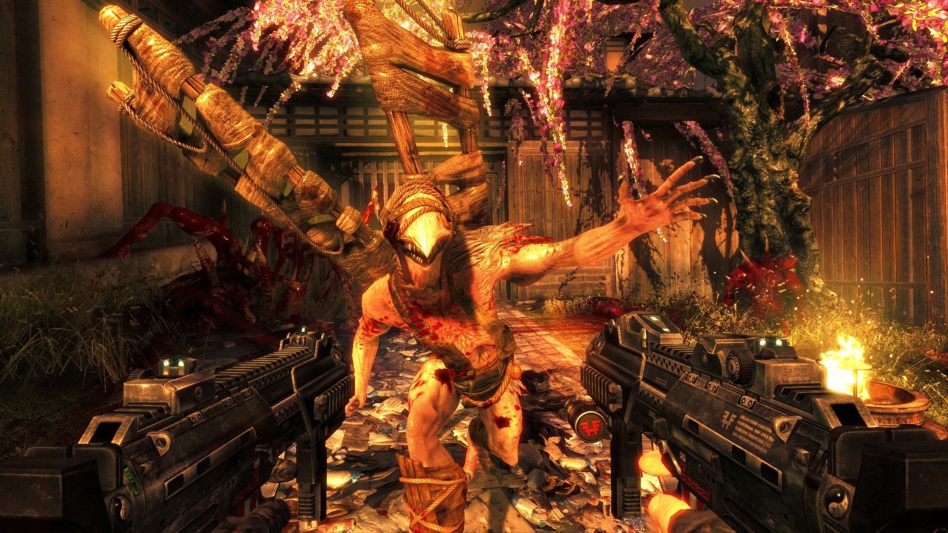 ESD Shadow Warrior Special Edition 