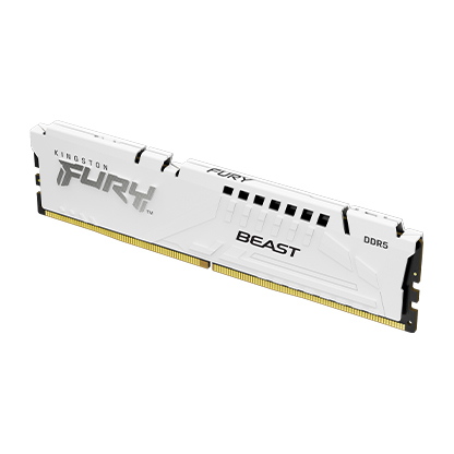 Kingston FURY Beast EXPO/ DDR5/ 32GB/ 5600MHz/ CL36/ 1x32GB/ White 