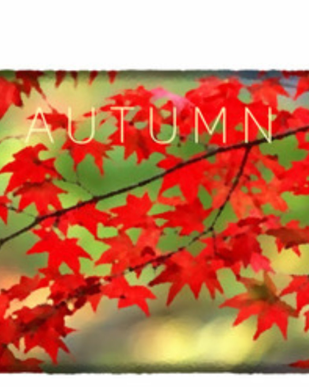 ESD Autumn