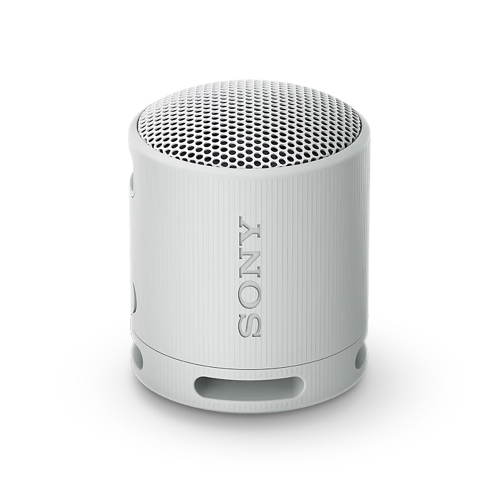 Sony SRS-XB100/ Mono/ Sivá