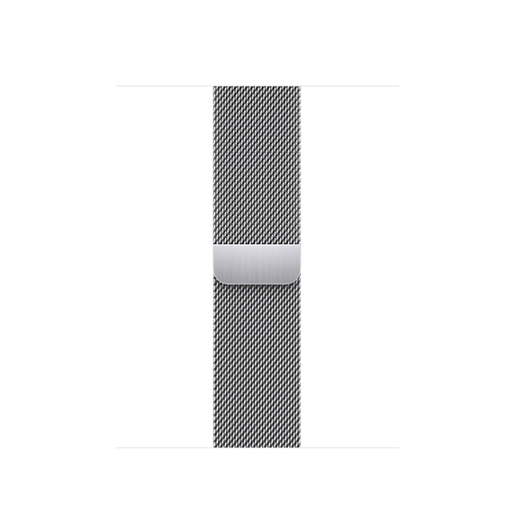 Watch Acc/ 41/ Silver Milanese Loop