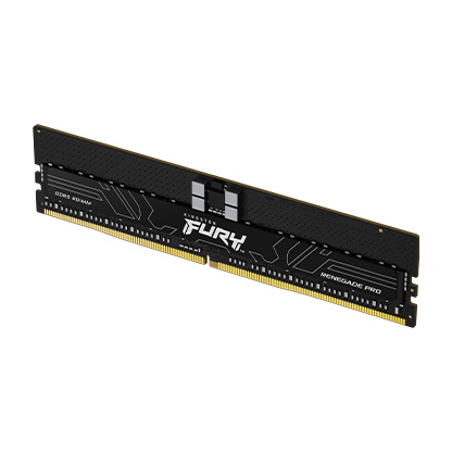 Kingston FURY Renegade Pro/ DDR5/ 16GB/ 5600MHz/ CL28/ 1x16GB/ Black 