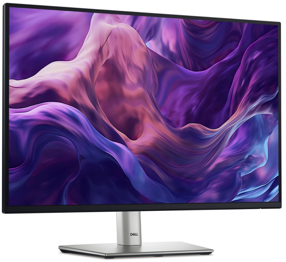 Dell/ P2425E/ 24, 07