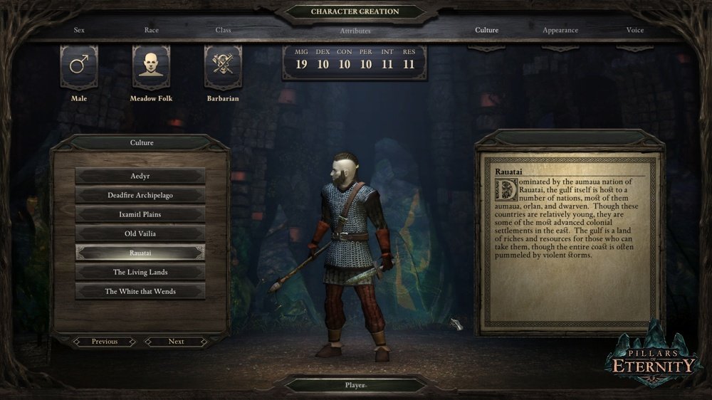 ESD Pillars of Eternity 