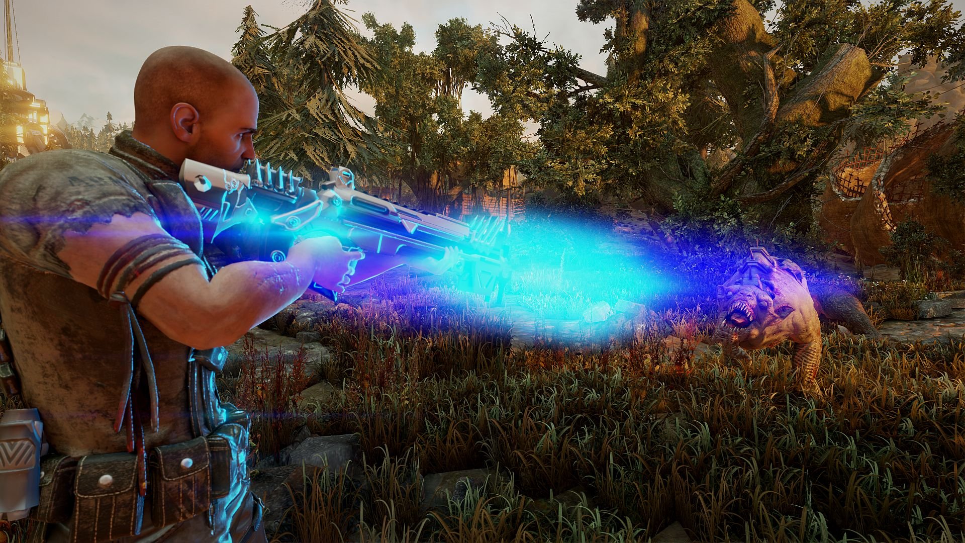 ESD Elex 